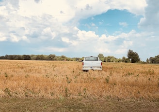 An old pickup truck parked beside a potato field under clear blue Idaho skies.