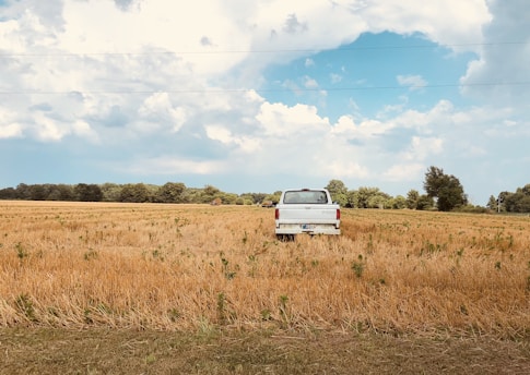 An old pickup truck parked beside a potato field under clear blue Idaho skies.