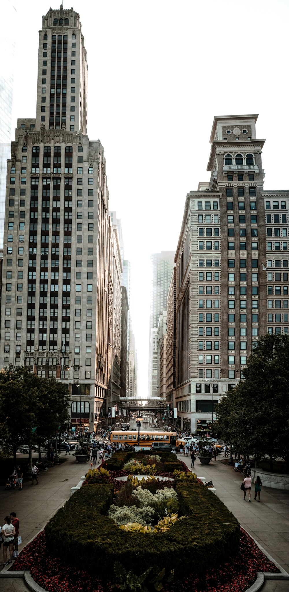 person walking near tree