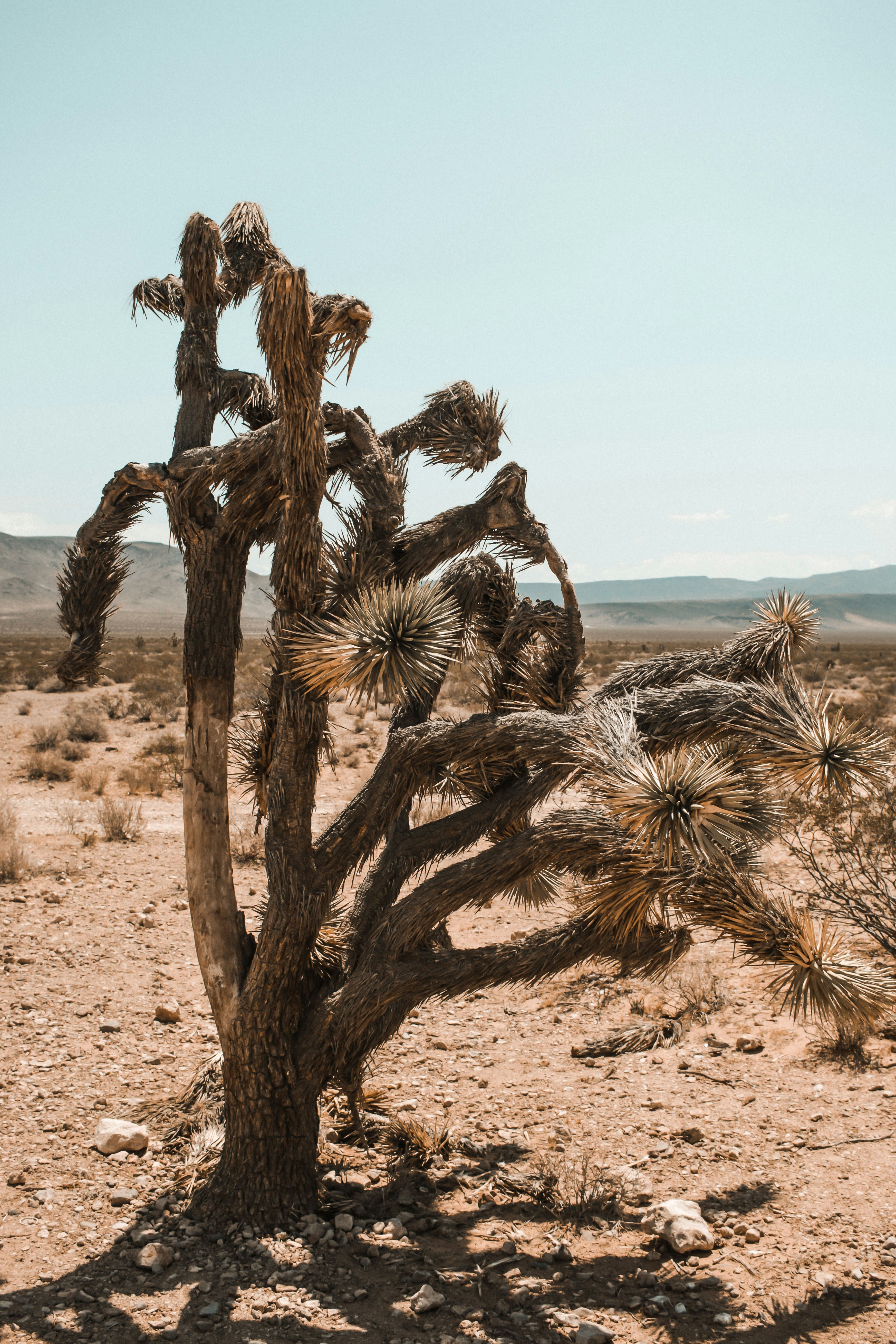 Photo by jaydenstaines