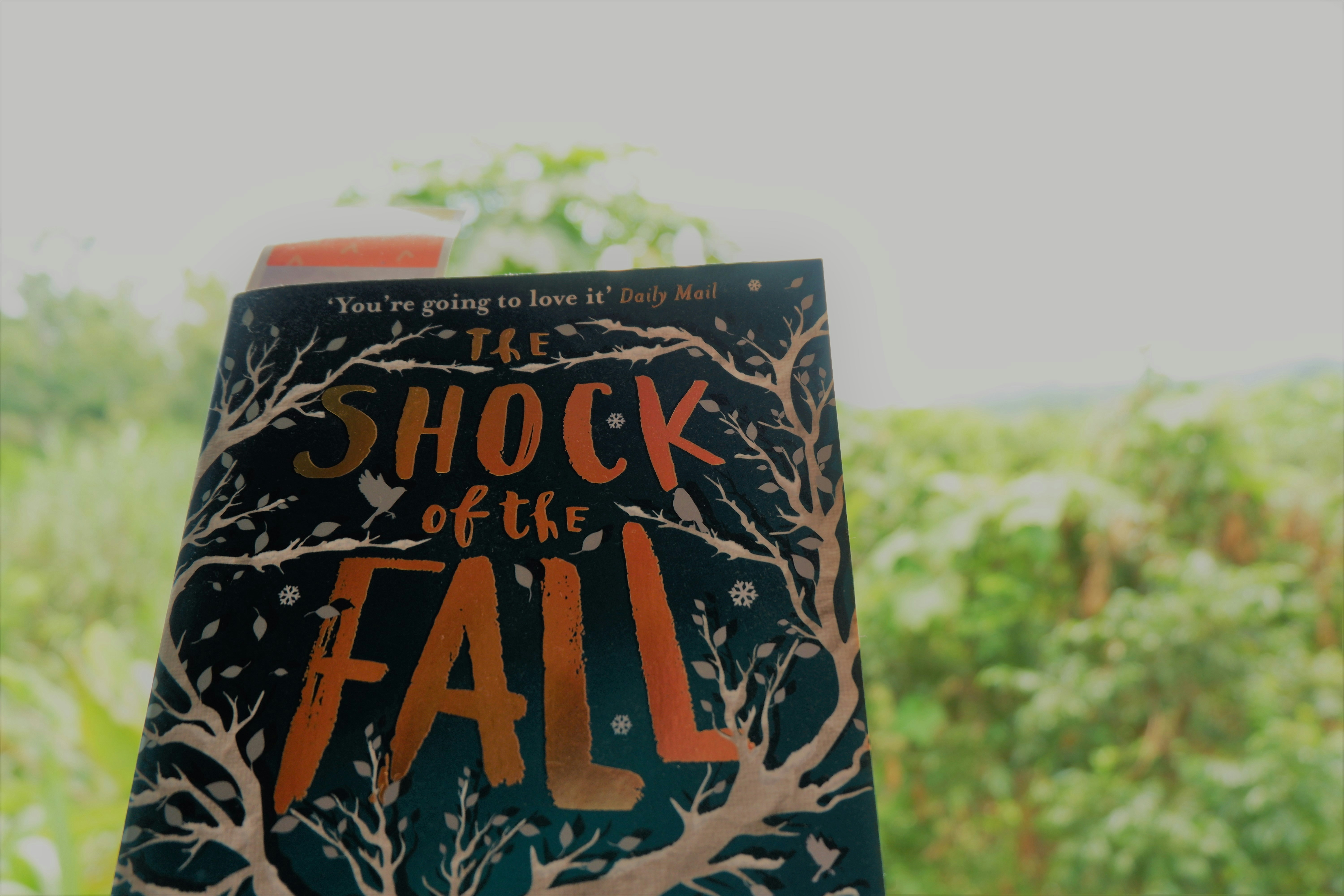 Romans captivants de Bruno Champeyrache