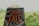 A book titled 'The Shock of the Fall' held up against a blurred background of lush greenery. The book cover features intricate designs of white trees and branches with an orange and white text. A red bookmark is visible at the top of the book.