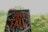 A book titled 'The Shock of the Fall' held up against a blurred background of lush greenery. The book cover features intricate designs of white trees and branches with an orange and white text. A red bookmark is visible at the top of the book.