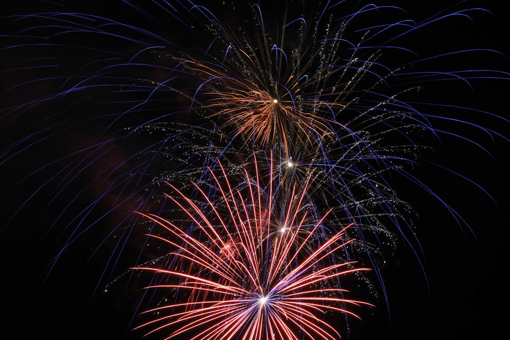 Espectáculo de fuegos artificiales durante la noche