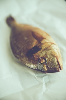 a piece of fish is laying on a piece of paper