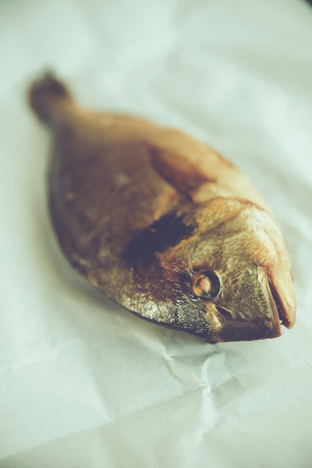 a piece of fish is laying on a piece of paper