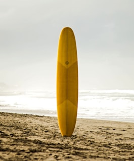 brown surfboard standing on sea shore