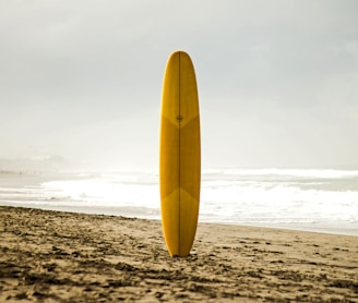 brown surfboard standing on sea shore