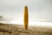 brown surfboard standing on sea shore