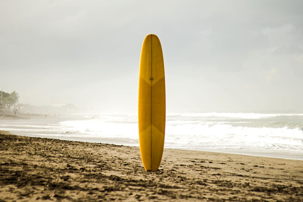 brown surfboard standing on sea shore