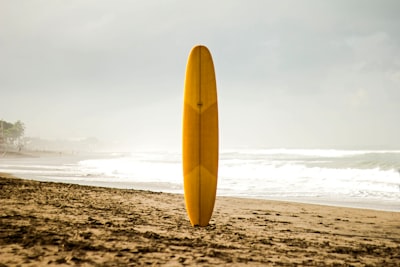 brown surfboard standing on sea shore surf teams background