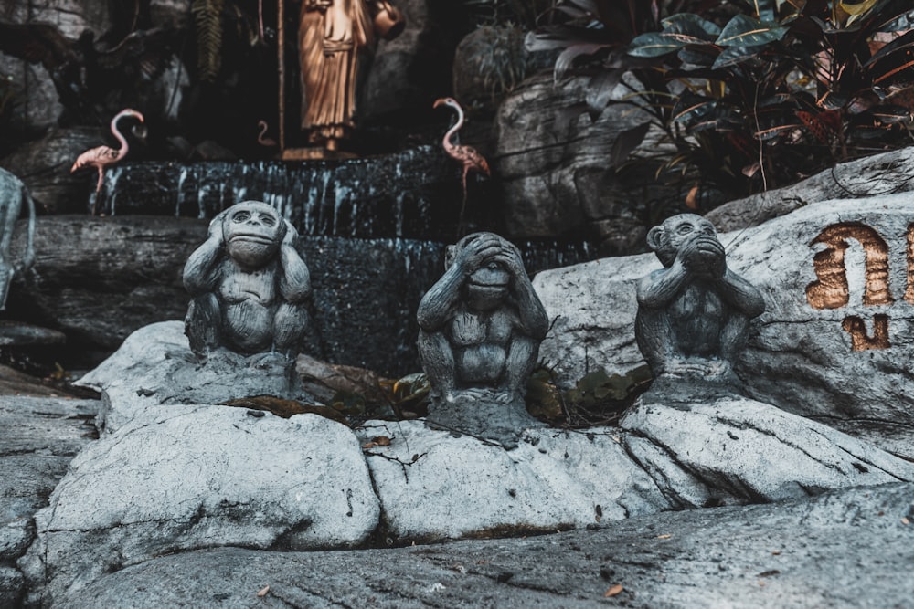 三匹の賢い猿