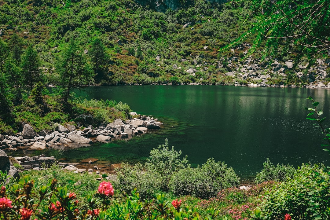 Nature reserve photo spot Valle Rendena Lago di Cei