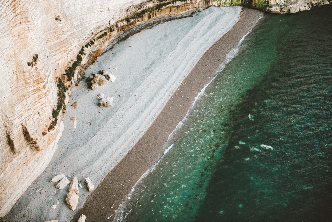 aerial view photography of seashore
