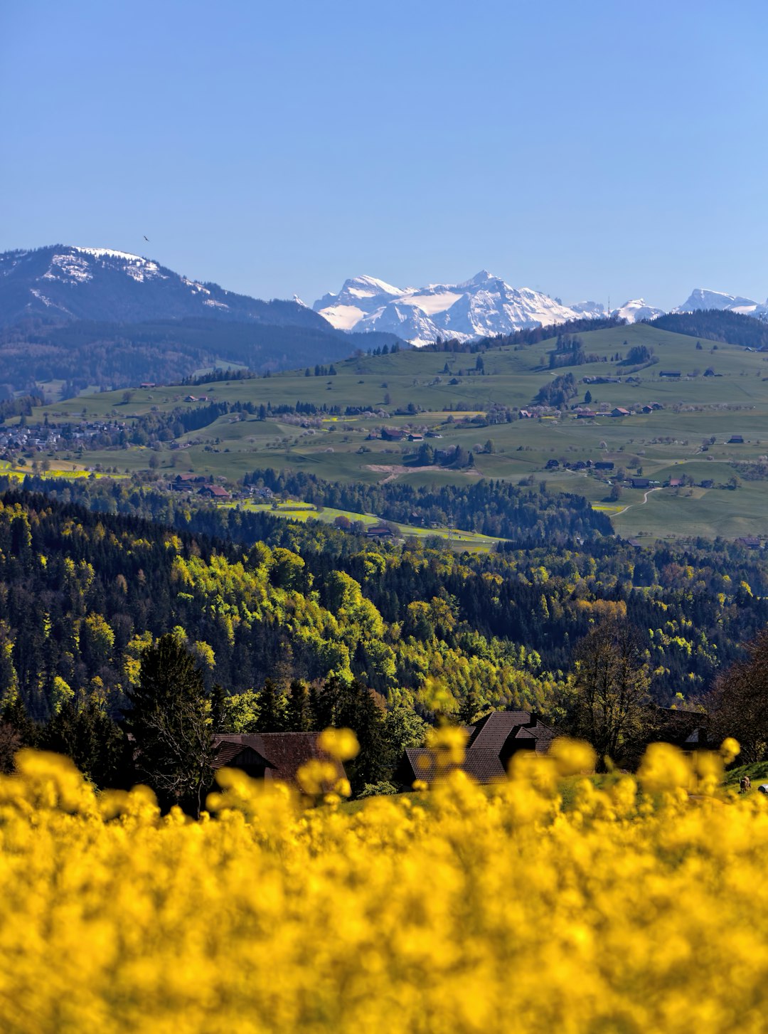 Mountain range photo spot Zug Meggenhorn Castle