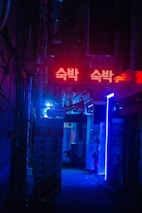 A narrow alleyway lit by vibrant neon lights, primarily in red and blue hues. Signs with Korean characters are prominent, and there are illuminated advertisements and posters on the walls. The atmosphere is dimly lit, creating a moody and urban vibe.