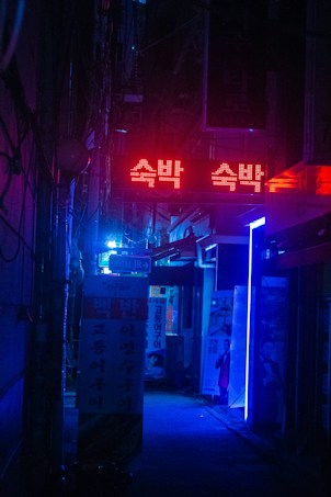 A narrow alleyway lit by vibrant neon lights, primarily in red and blue hues. Signs with Korean characters are prominent, and there are illuminated advertisements and posters on the walls. The atmosphere is dimly lit, creating a moody and urban vibe.