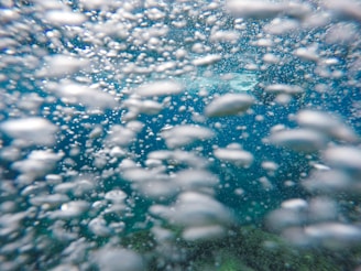 bubbles underwater photography