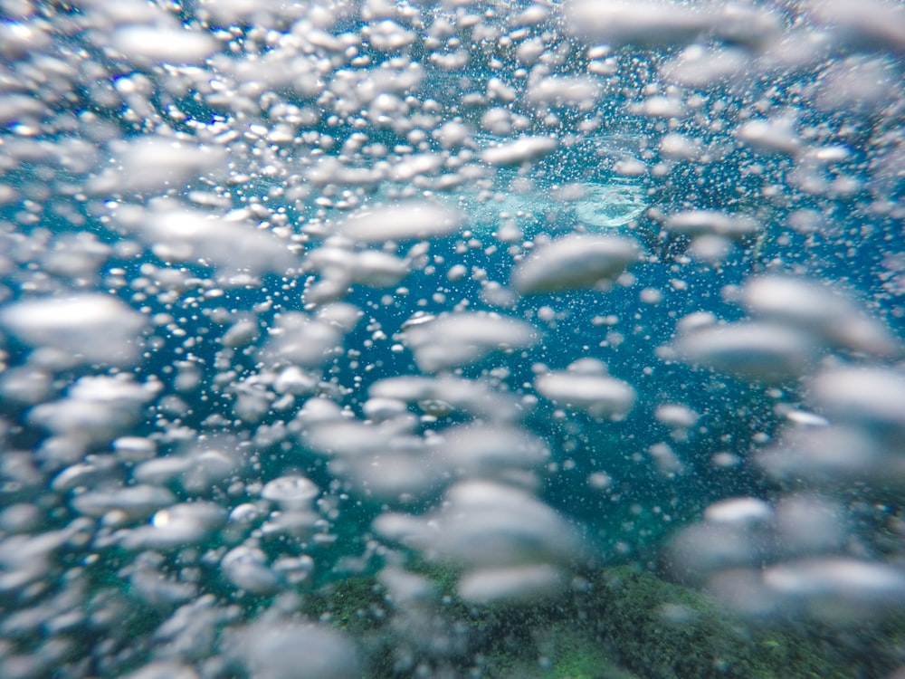 bubbles underwater photography