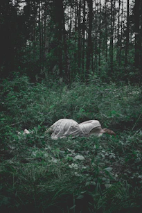 woman lying on green plants