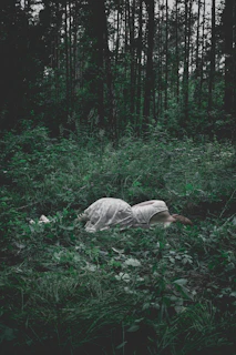 woman lying on green plants