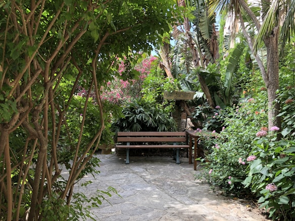 A peaceful and inviting garden scene with a wooden bench surrounded by lush greenery, including palm trees and flowering plants with pink blooms. A stone path leads to the bench, and a sign with the word 'jardin' adds to the setting.