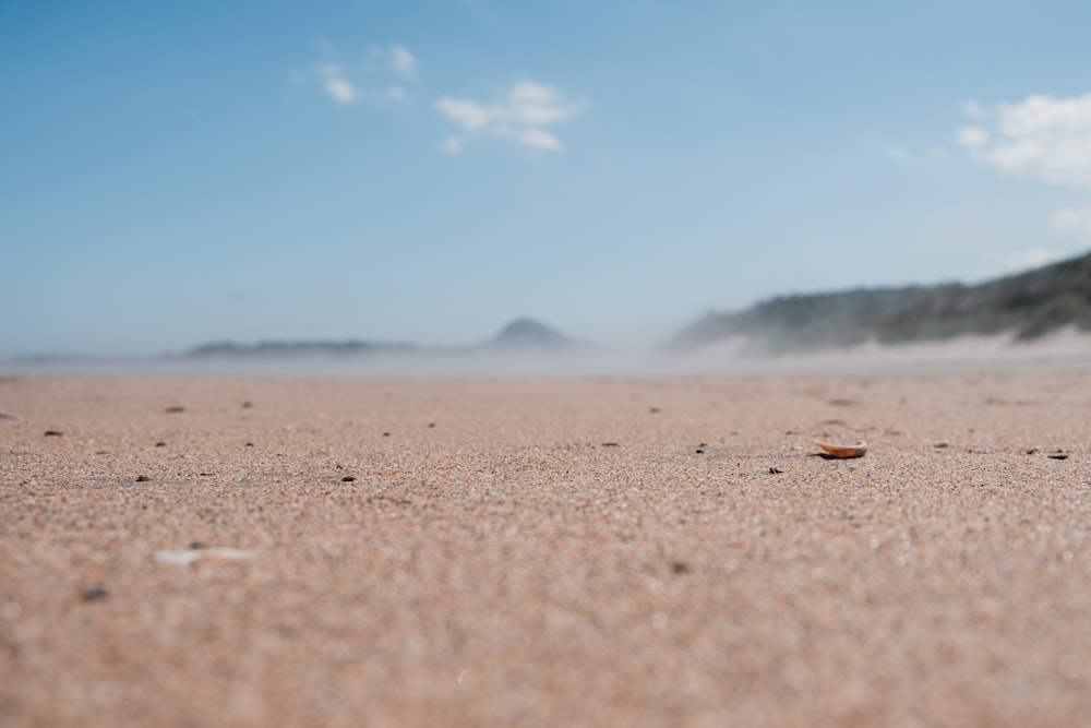 macro photography of brown soil