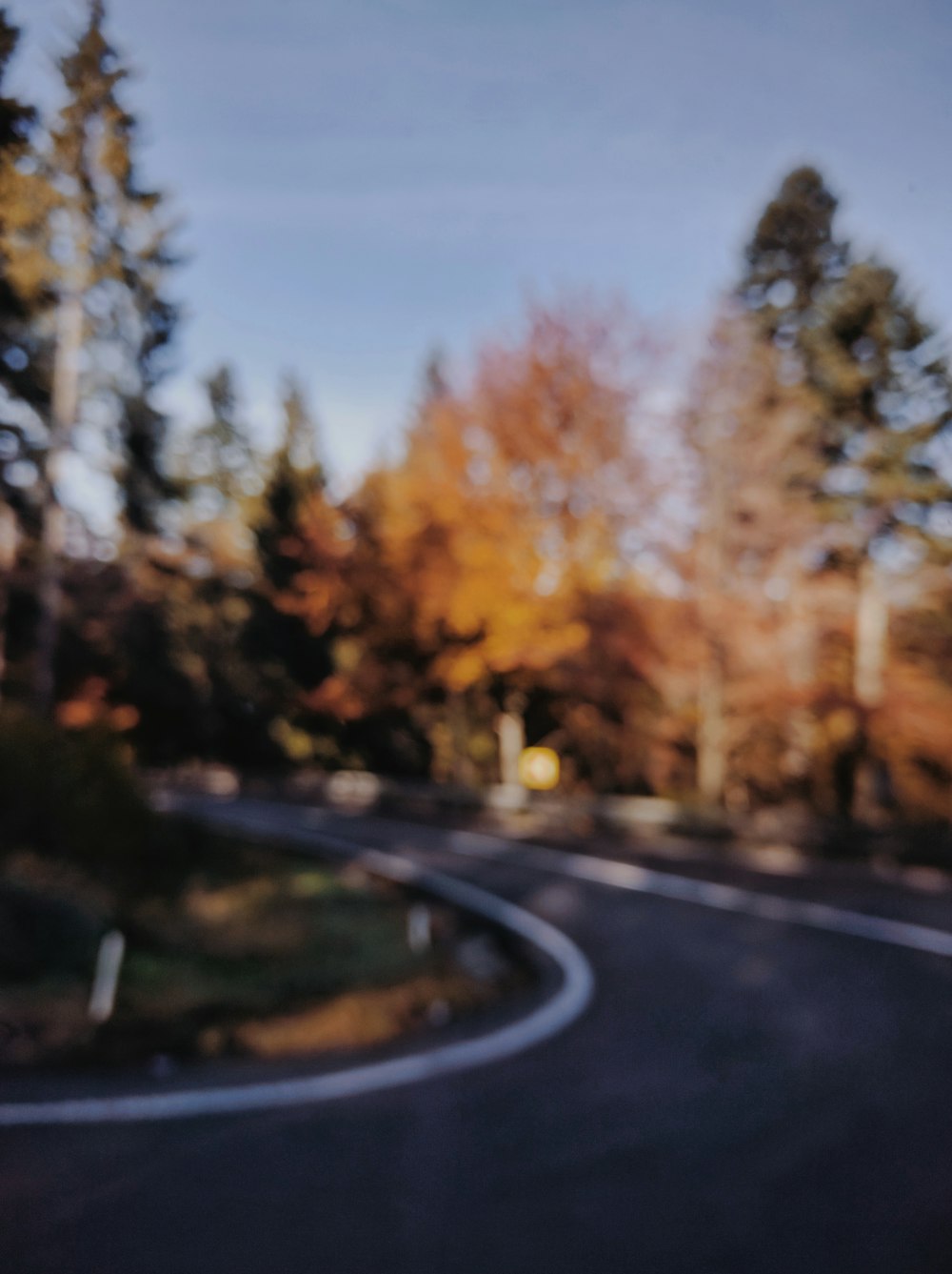 winding road between trees