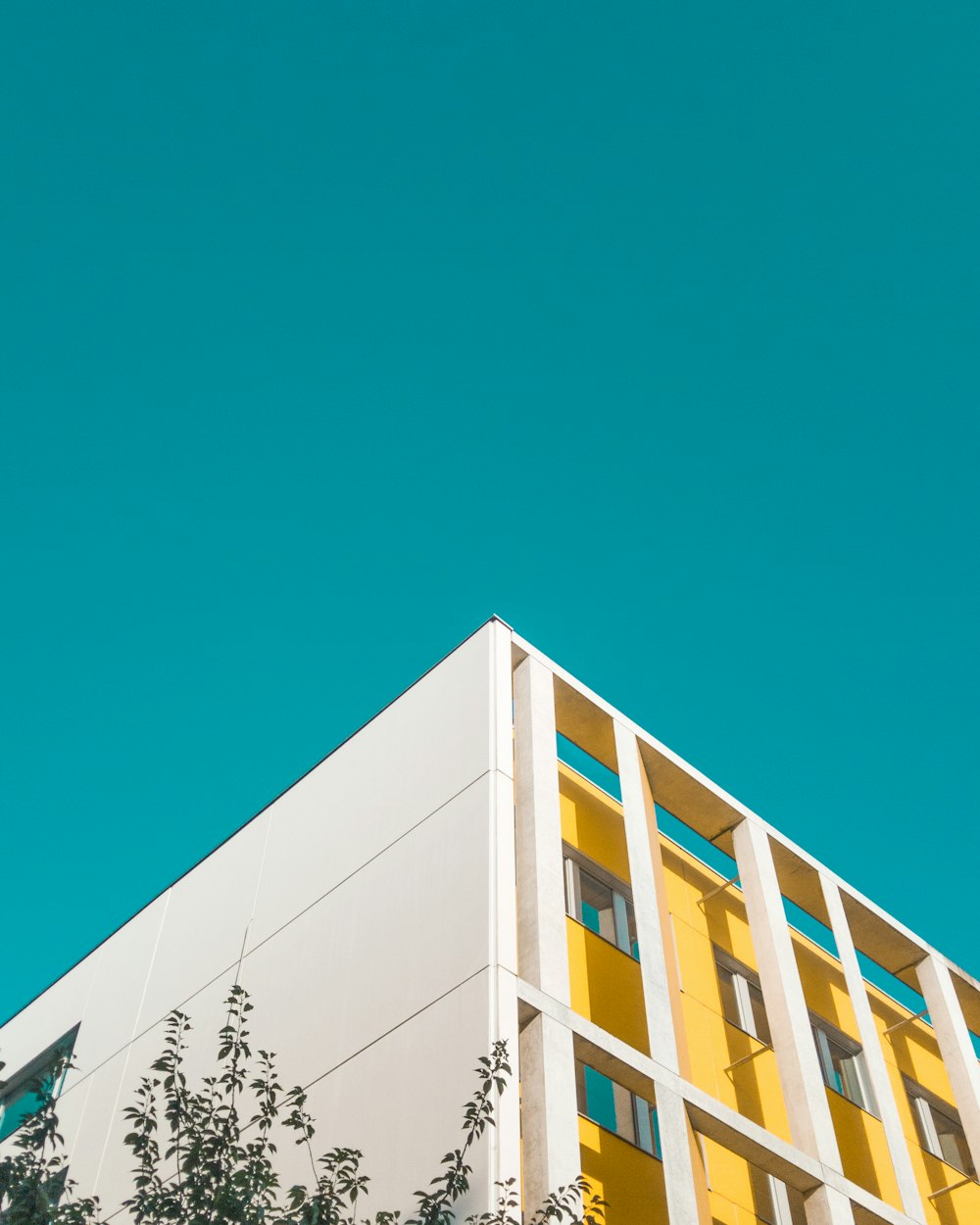 白と黄色のコンクリートの建物のローアングル写真