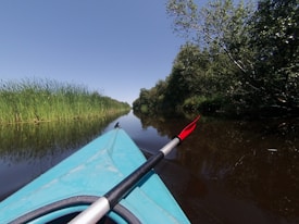 A kayak navigates through a calm river surrounded by lush greenery. The clear blue sky reflects on the water, enhancing the peaceful setting. Tall grasses line the river banks on the left, while trees with dense canopies create a shaded area on the right. The kayak paddle, held in the foreground, features a vivid red blade contrasting with the serene environment.