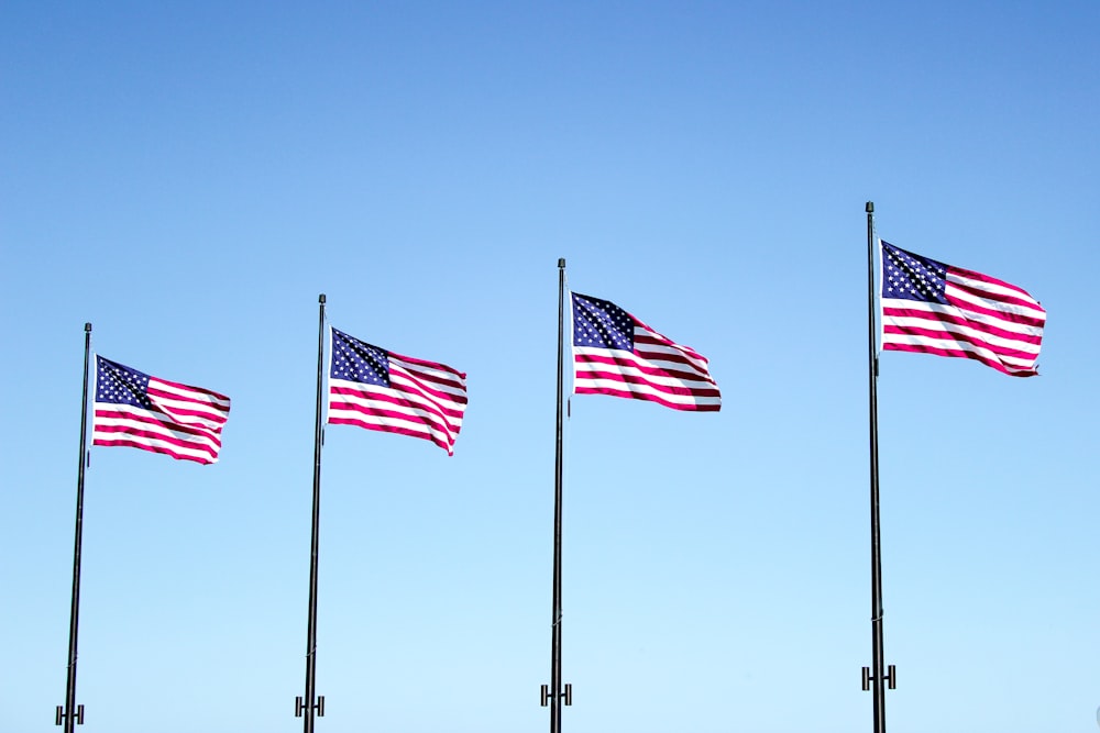 four USA flags under blue sky