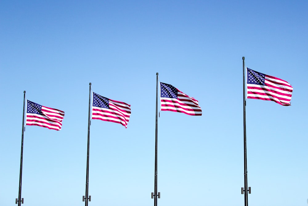 quattro bandiere USA sotto il cielo blu