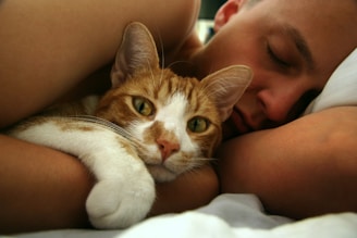 A person is sleeping while a ginger and white cat is nestled against them, its eyes open and alert. The scene conveys comfort and warmth as natural light softly illuminates them.