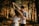 man and woman dancing at center of trees
