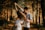 man and woman dancing at center of trees