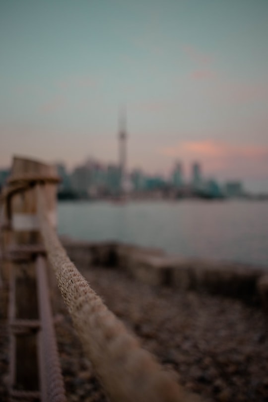 closeup photo of brown rope in Trillium Park Canada