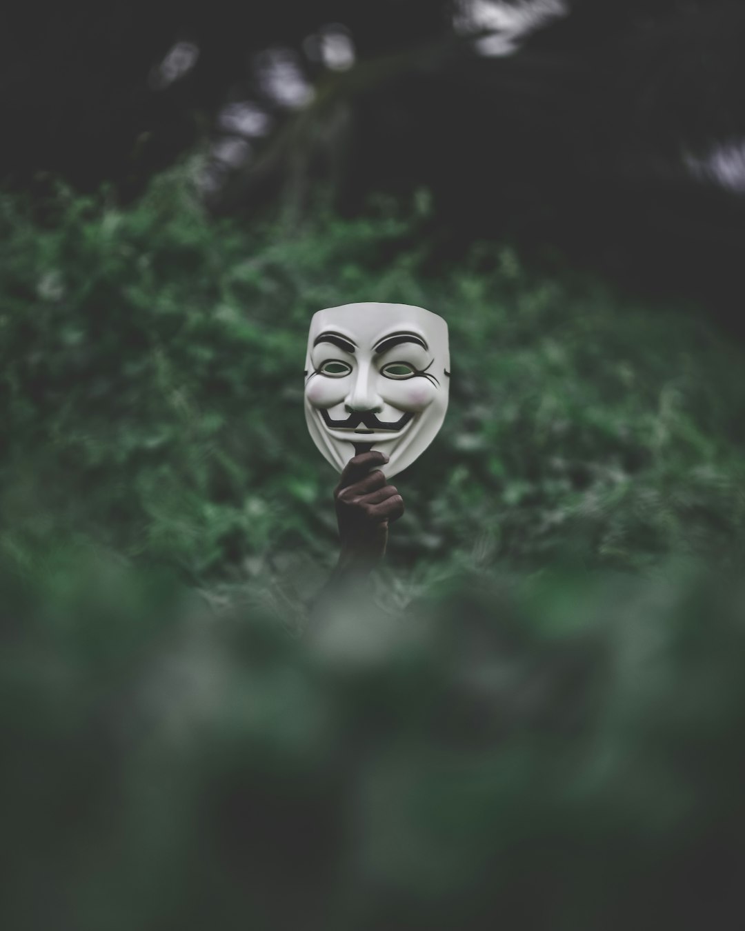 Anonymous 2 best free anonymou idarki blur and bokeh 