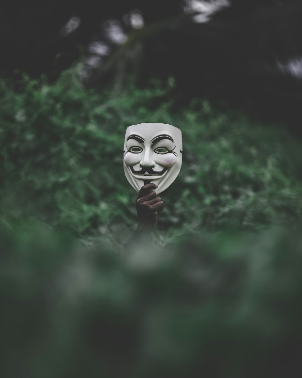 shallow focus photography of vendetta mask
