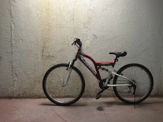 A sleek Giant mountain bike leaning against a rustic brick wall under soft natural light.
