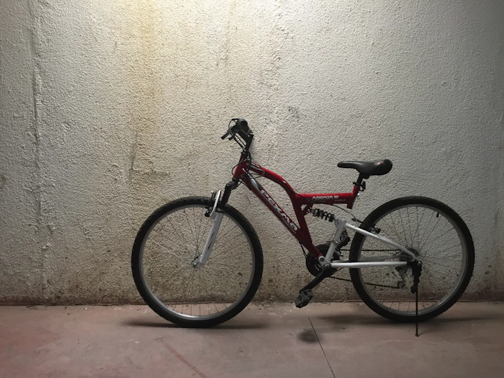 A sleek Giant mountain bike leaning against a rustic brick wall under soft natural light.