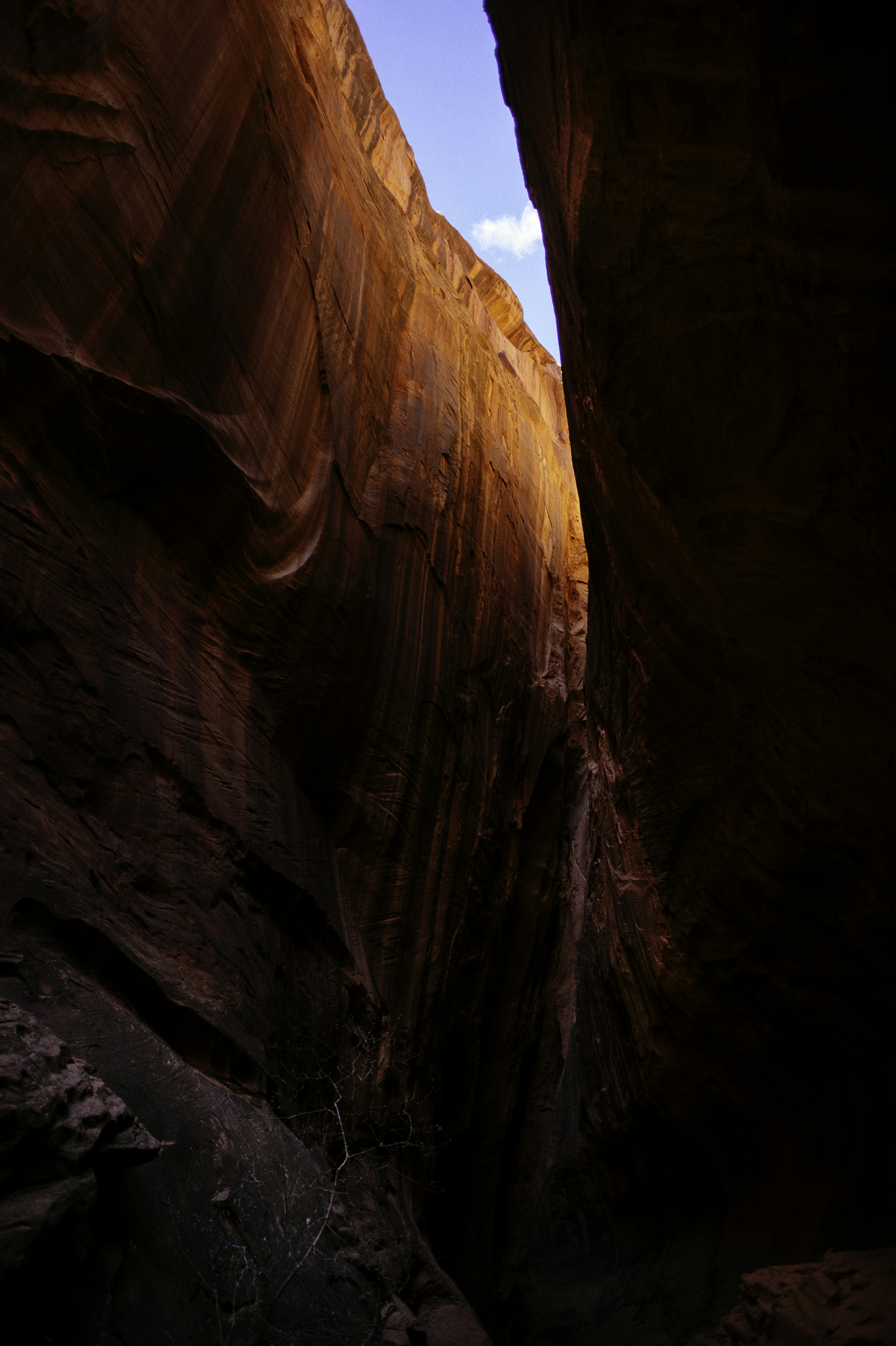 A nice find along a road in Escalante, Utah.