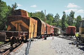 An old, rusty train yard with several vintage train cars on intersecting tracks. The scene is set outdoors with lush green trees providing a natural backdrop under a clear blue sky. The trains exhibit a mix of earth tones and weathered textures, suggesting age and historical significance. The tracks are surrounded by gravel, with some small barriers and posts around the area.