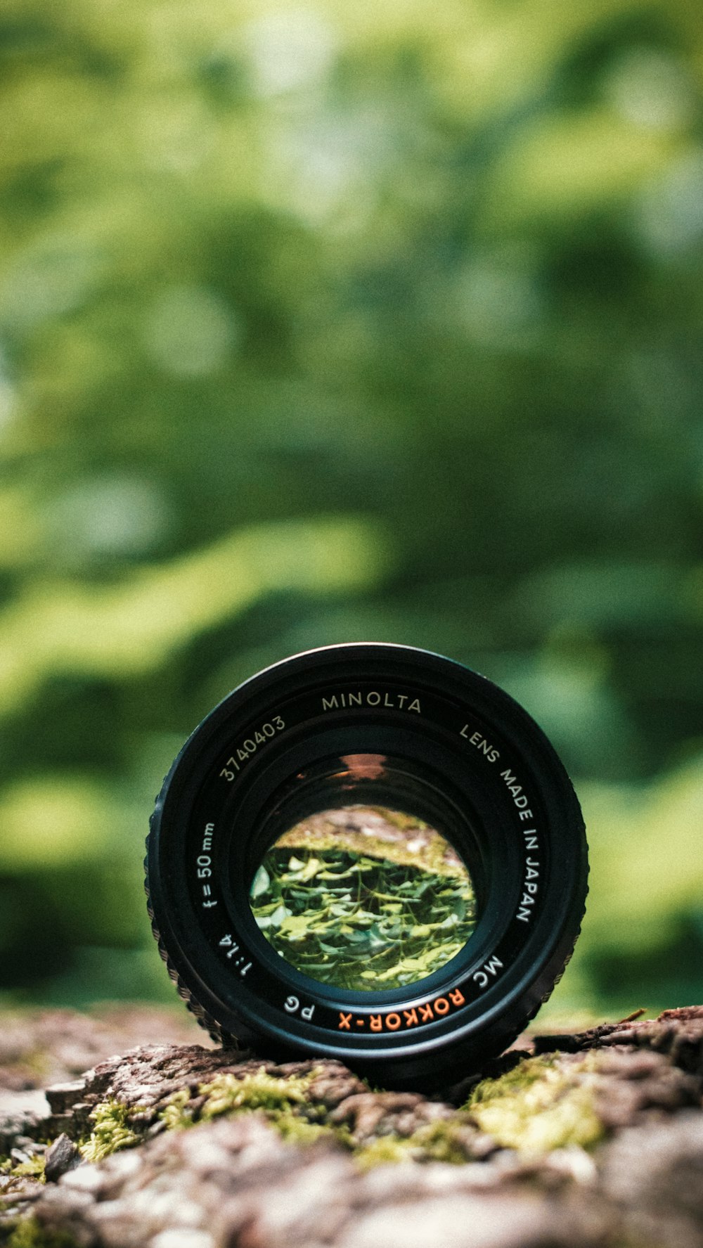 black Minolta lens in selective focus photography