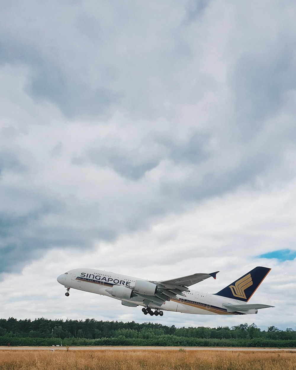 Avión blanco de Singapur bajo nubes de nimbo
