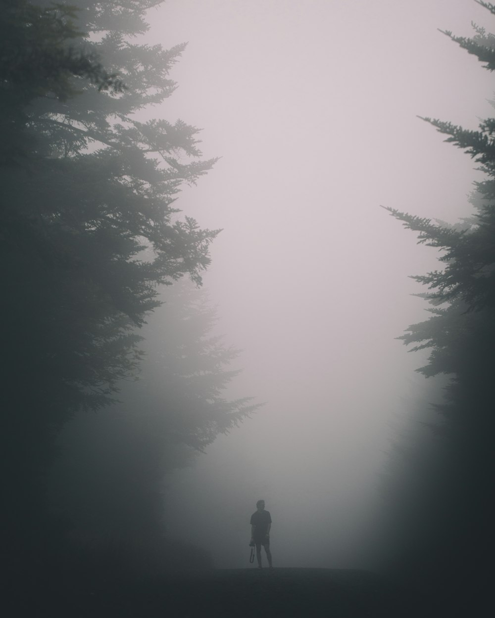 person standing beside trees