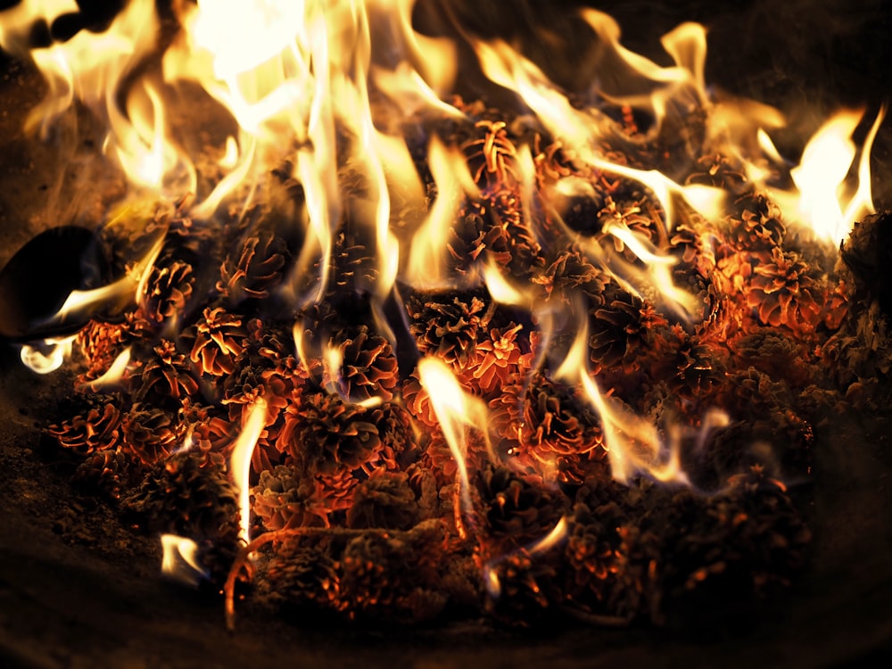 time lapse photography of burning wood