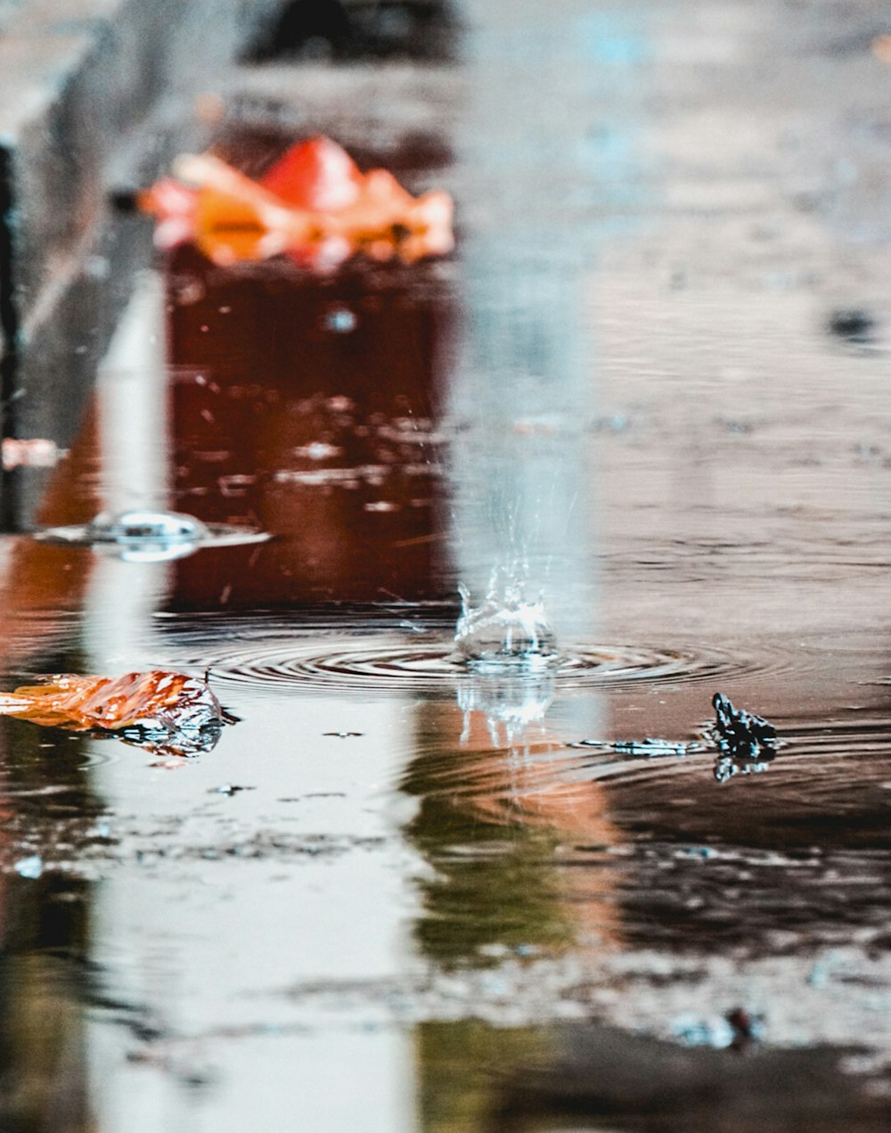 Fotografía de enfoque selectivo de gotas en charcos