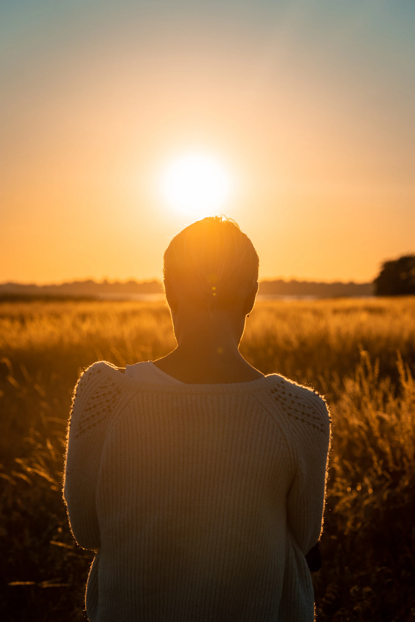 Sitting in a field facing the setting sun