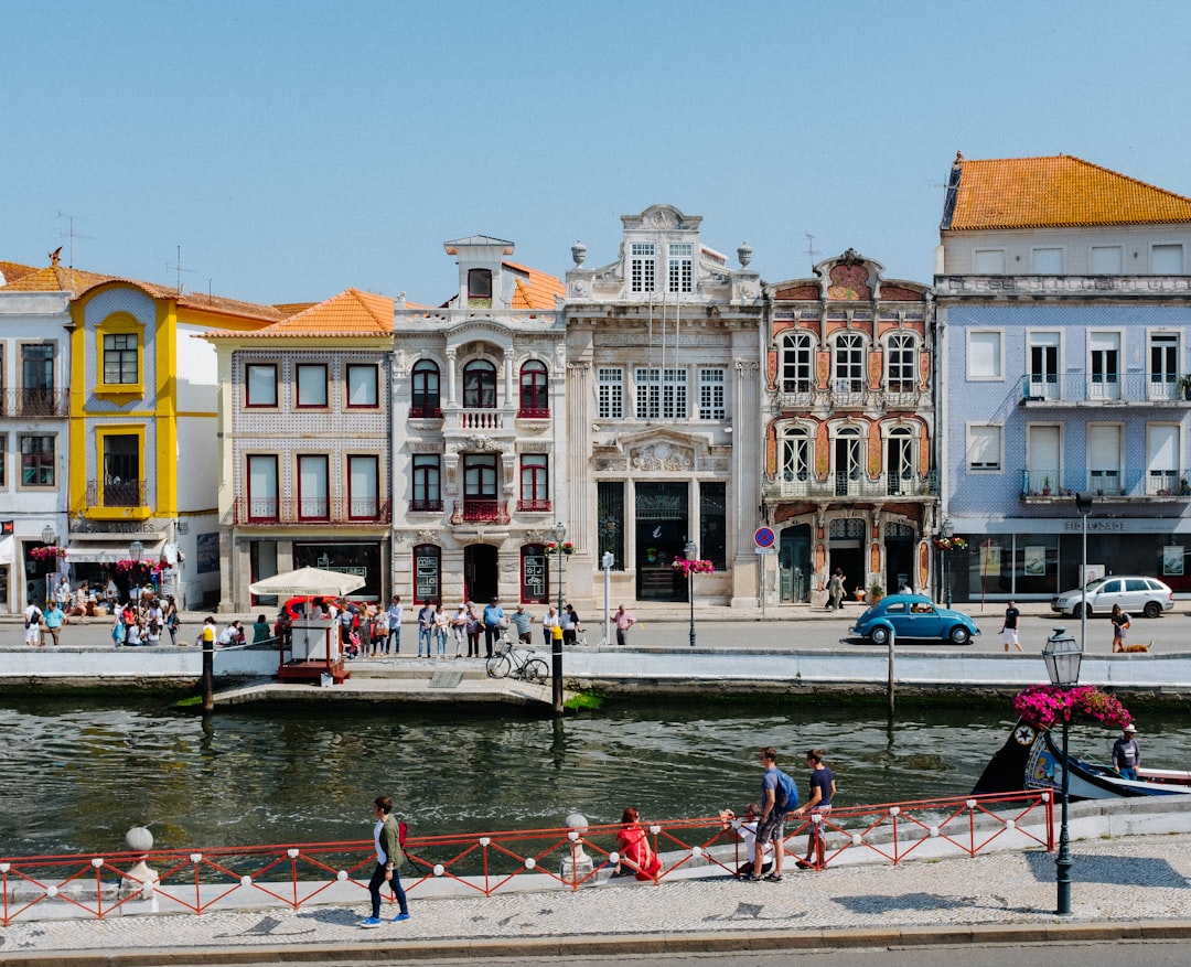 Town photo spot Aveiro Dom Luís Bridge