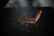 Close-up of perfectly grilled meat on a barbecue with smoke rising.